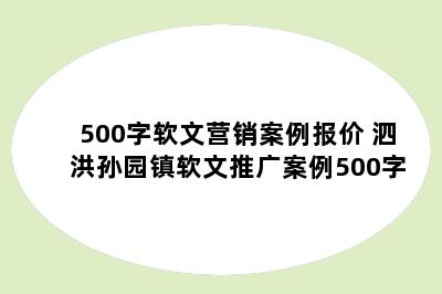 500字软文营销案例报价 泗洪孙园镇软文推广案例500字